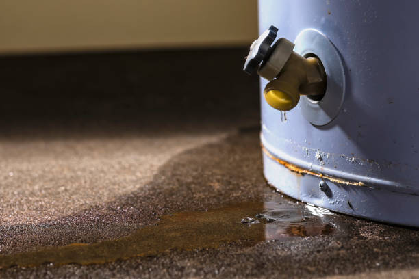 Best Flood restoration services  in Santa Clarita, CA