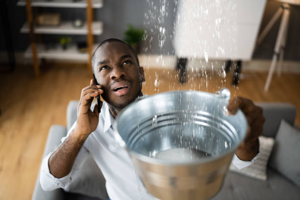 Best Water damage restoration company  in Santa Clarita, CA