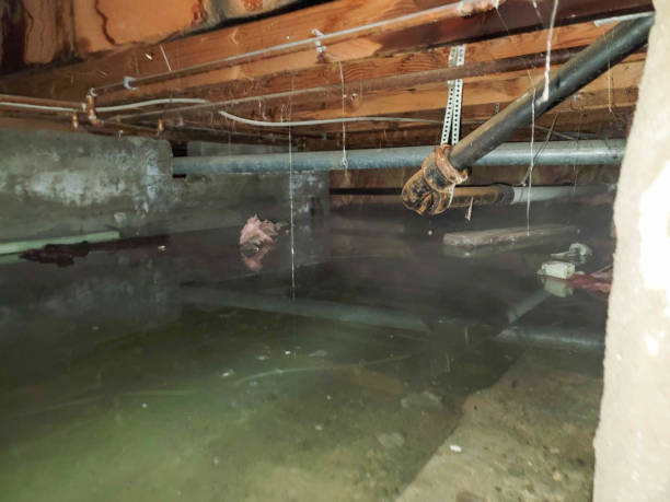 Best 24/7 water damage repair  in Santa Clarita, CA