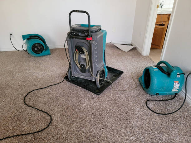 Best Water damage cleanup near me  in Santa Clarita, CA