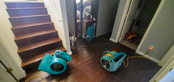 Best Basement water damage restoration  in Santa Clarita, CA