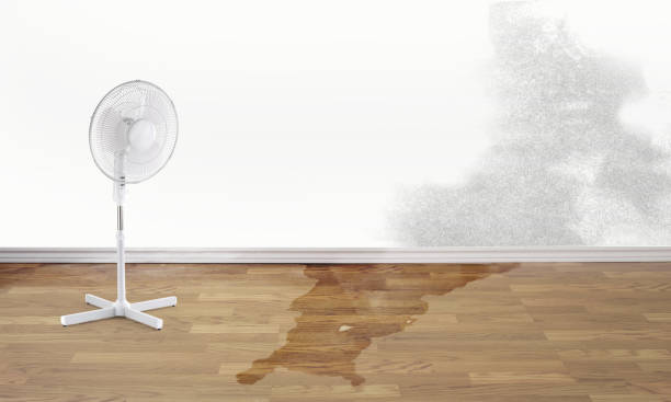 Best Basement water damage restoration  in Santa Clarita, CA