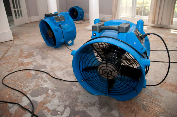Best Water damage restoration near me  in Santa Clarita, CA