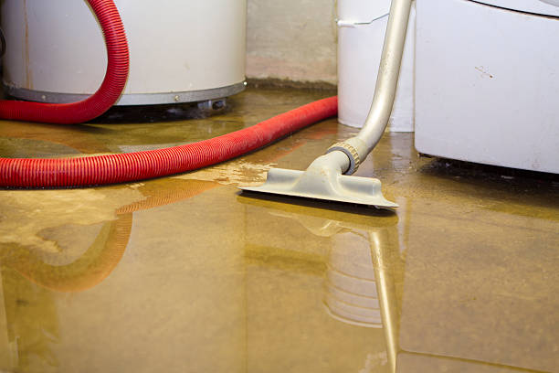 Best Ceiling water damage repair  in Santa Clarita, CA