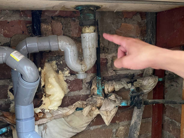 Best Ceiling water damage repair  in Santa Clarita, CA