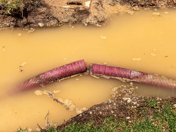 Best Local water damage restoration  in Santa Clarita, CA