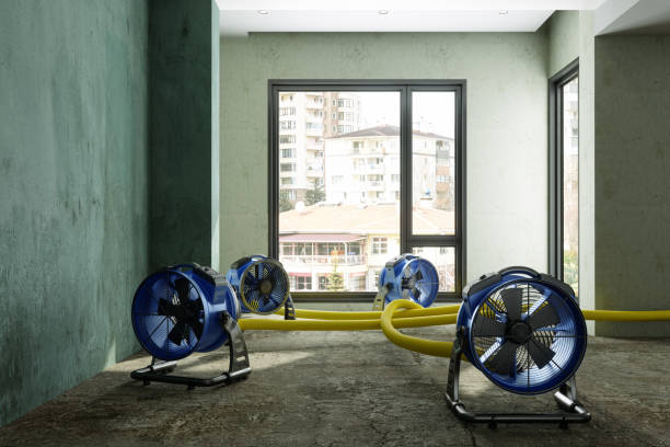 Best Mold removal after water damage  in Santa Clarita, CA